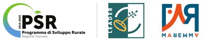 logo1