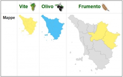Bollettini di Agroambiente.info 24 giugno