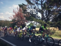Trofeo Filare - Modifiche alla circolazione stradale 17 luglio