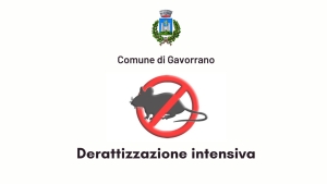 logo comune, scritta comune di gavorrano, sfondo bianco, topo su divieto di sosta, scritta derattizzazione intensiva