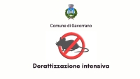 logo comune, scritta comune di gavorrano, sfondo bianco, topo su divieto di sosta, scritta derattizzazione intensiva