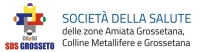 Avviso pubblico per il conferimento dell’incarico di direttore del COeSO SdS Grosseto